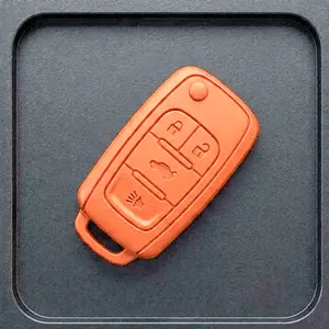 Vehicle Key fob